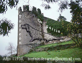 1ª LIGA  CAZA  DE  ZORRO